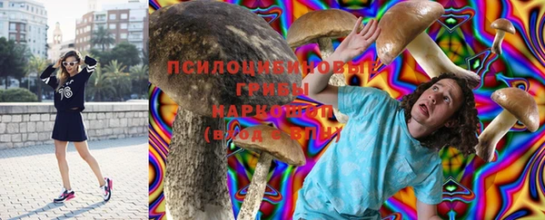 трава Балахна