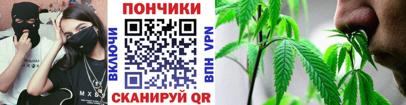 дарнет шоп Усть-Джегута Шишки марихуана индика